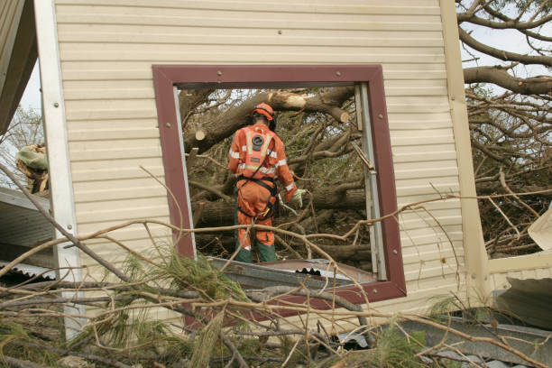 Best Tree Mulching  in Muldrow, OK